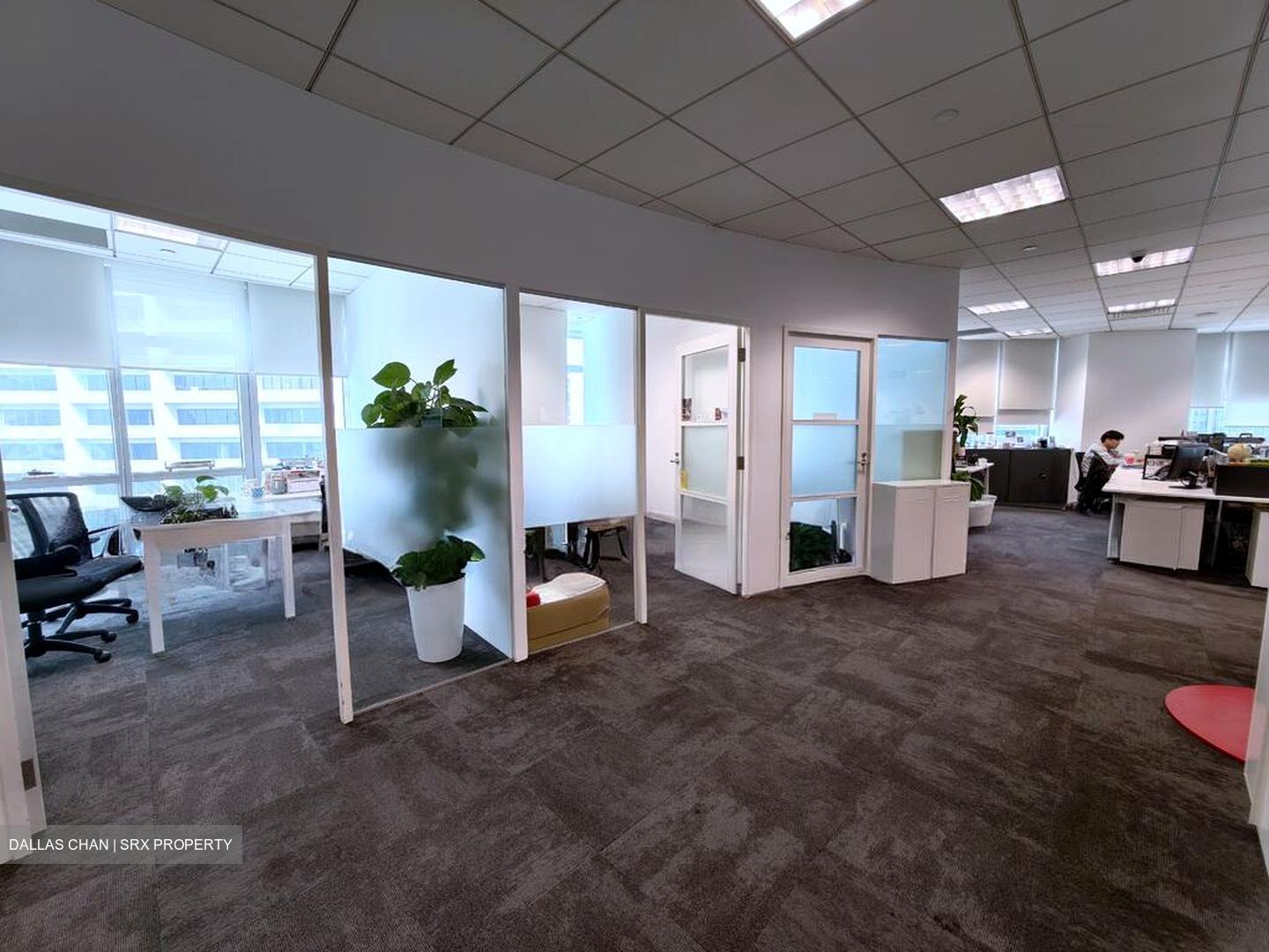 Springleaf Tower (D2), Office #566801981